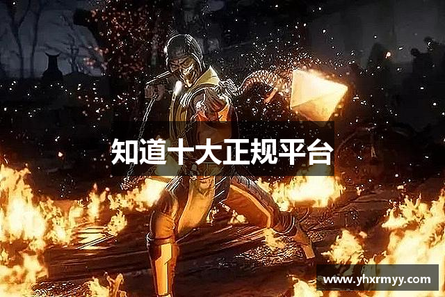 知道十大正规平台